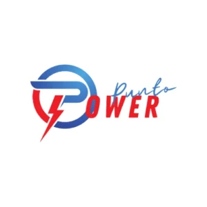 Logo PUNTO POWER